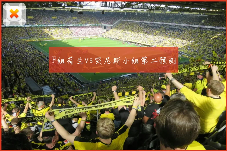 F组荷兰vs突尼斯小组第二预测