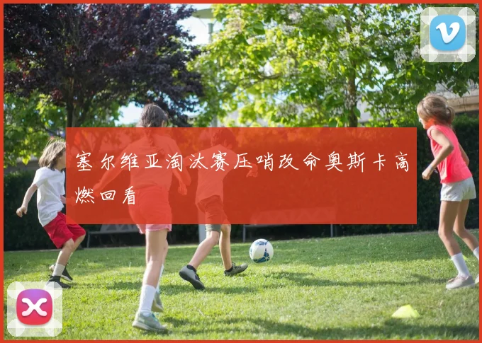 塞尔维亚淘汰赛压哨改命奥斯卡高燃回看