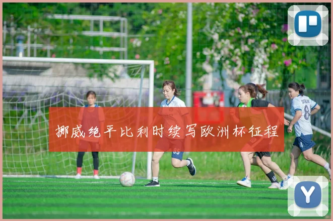 挪威绝平比利时续写欧洲杯征程