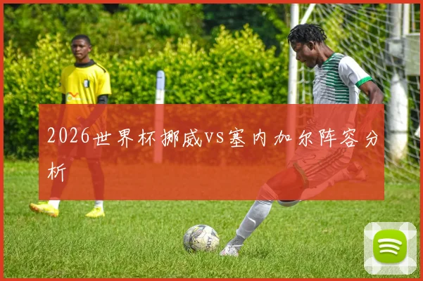 2026世界杯挪威vs塞内加尔阵容分析
