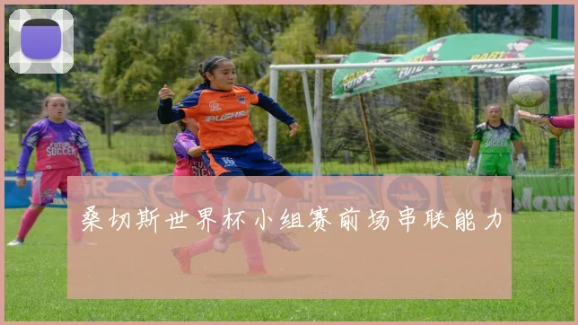 桑切斯世界杯小组赛前场串联能力