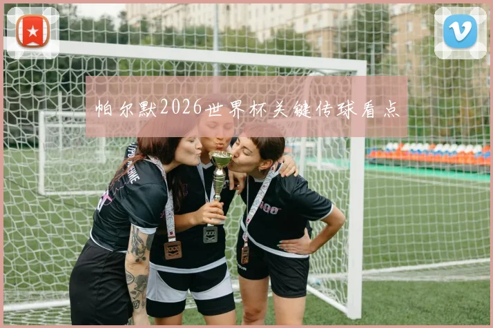 帕尔默2026世界杯关键传球看点