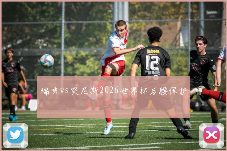 瑞典vs突尼斯2026世界杯后腰保护