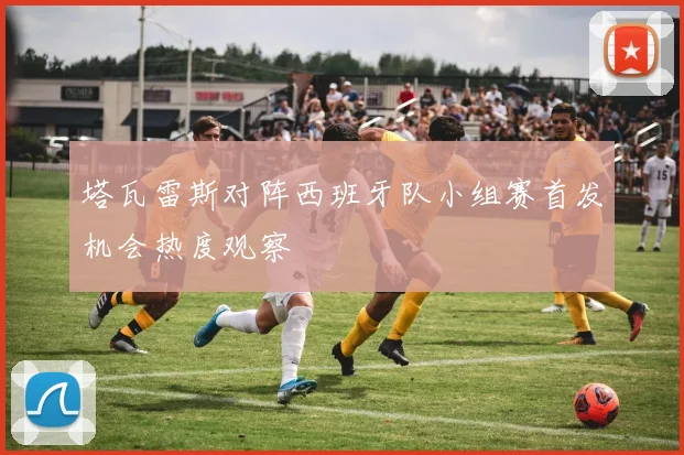 塔瓦雷斯对阵西班牙队小组赛首发机会热度观察