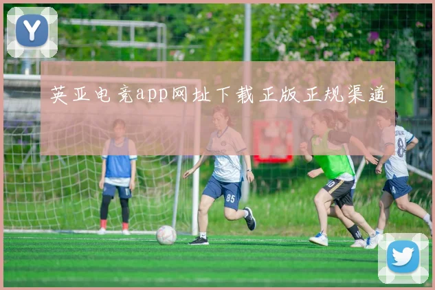 英亚电竞app网址下载正版正规渠道