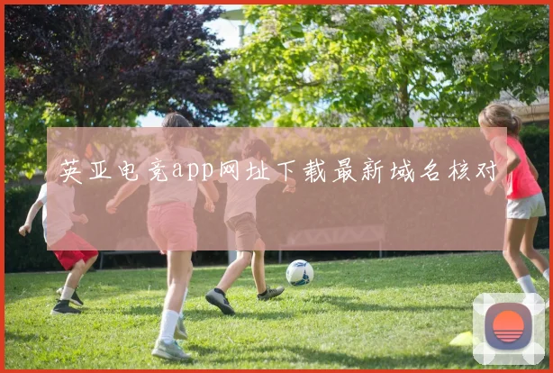 英亚电竞app网址下载最新域名核对